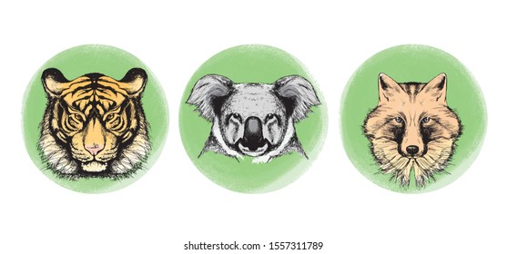 Wild animals in circles set. Elements for design on white background