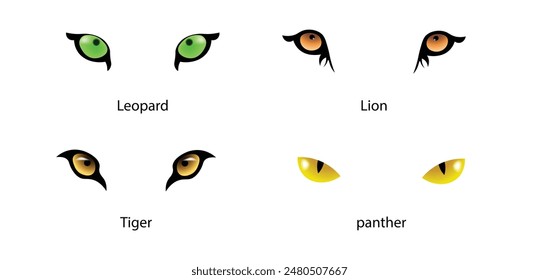 wild animals close up eyes lion tiger leopard panther vector on white isolated