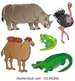 Wild animals collection 02 - vector illustration.