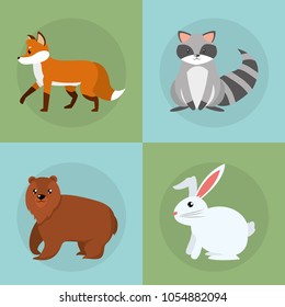 Wild animals collection