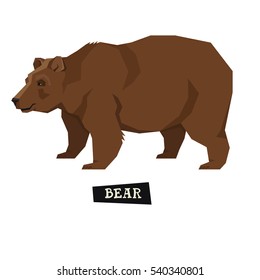 Wild animals collection Brown bear Geometric style