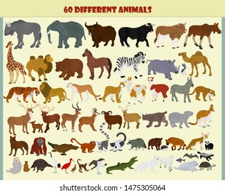 Wild animals collection on a light background