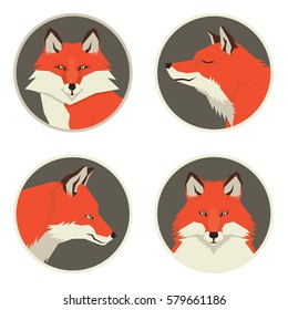 Wild animals collection Red foxes Geometric style Four round frames