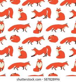 Wild animals collection Red Foxes Background