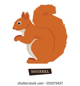 Wild Animals Collection Squirrel Geometric Style Set