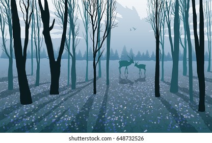 wild animals deer, doe in forest