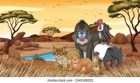 Wild Animals Desert Field Illustration Stock Vector (Royalty Free ...