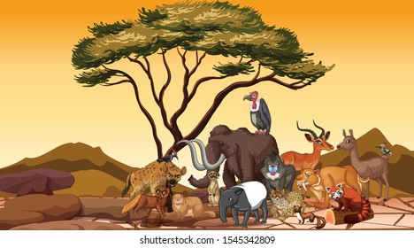 Wild animals in the desert field illustration