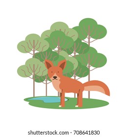 wild animals design