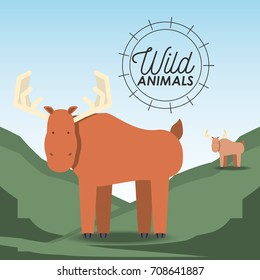 wild animals design