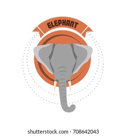 wild animals design