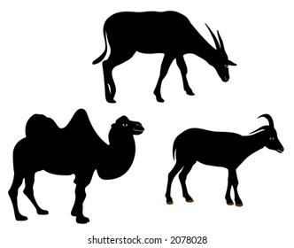 wild animals - detailed vector illustration