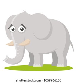 Wild animals. Elephant