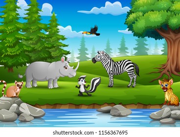 Wild animals are enjoying nature by the river