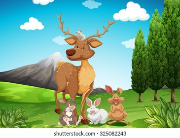 Wilde Tiere auf dem Feld