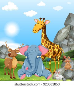Wild animals in the field illustration
