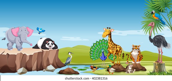 Wild animals in the field illustration