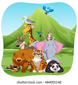 Wild animals in the field illustration