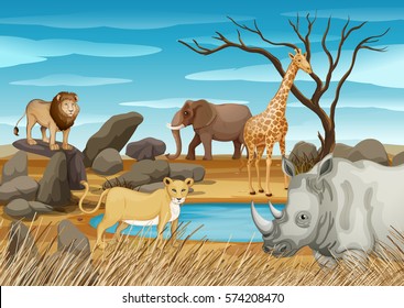 Wild animals in the field illustration