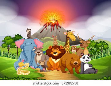 Wild animals in the field with volcano background illustration