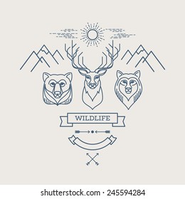 Wild animals. Flat line illustration