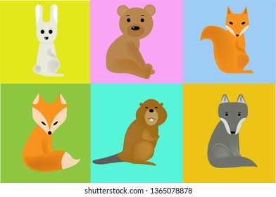 wild animals of the forest