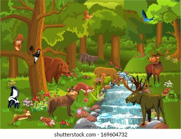 wild animals in the forest