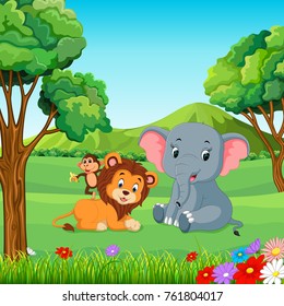 Wild animals in the forest