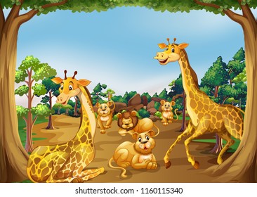 Wild animals in the forest illustration