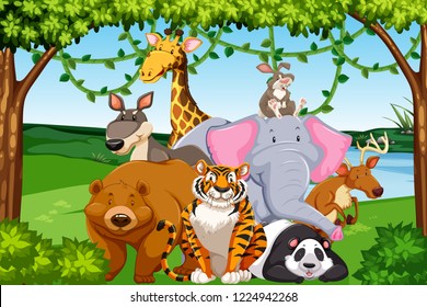 Wild animals in the forest illustration