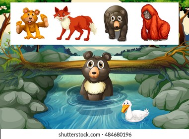 Wild animals in the forest illustration