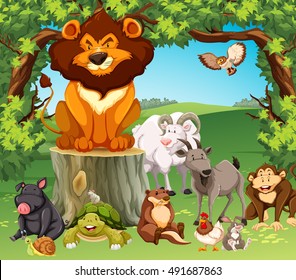 Wild animals in the forest illustration