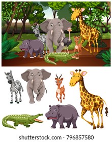 Wild animals in the forest illustration