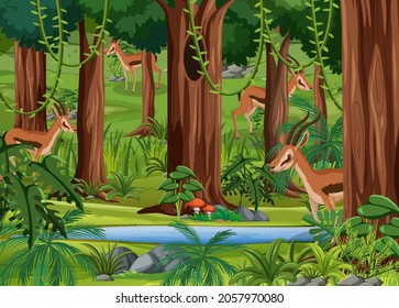 Wild animals in forest landscape background illustration