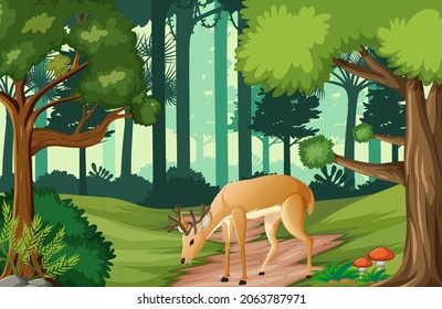 Wild animals in forest landscape background illustration