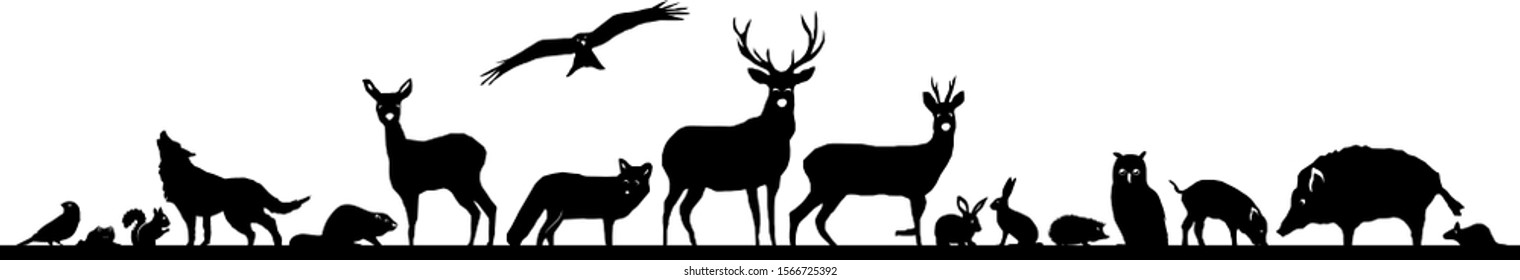 Wild Animals Forest Landscape Silhouette Vector