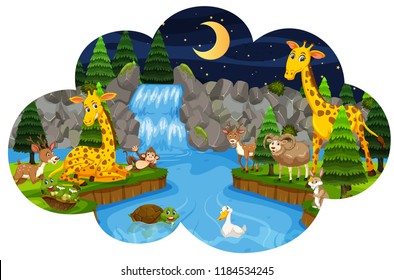 Wild animals in forest at night illustration