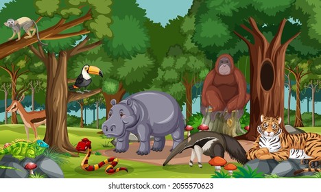 Wild animals in forest or rainforest scene with many trees illustration