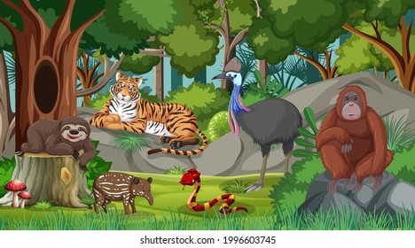 Wild animals in forest scene with many trees illustration