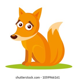 Wild animals. Fox