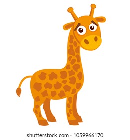 Wild animals. Giraffe