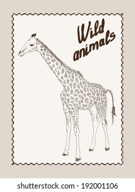 wild animals. giraffe. vector sketch on grey background
