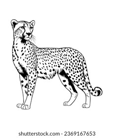 Wild Animals Hand-Drawn Sketch Vector Illustration of a Leopard Portrait