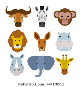 wild animals heads set in flat style isolated on white background