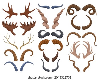 Wild animals horns antlers, reindeer, bull, goat. Hunting trophy deer, ibex, sheep and moose horns isolated vector illustration set. Trophy wild animals horns. Reindeer horn and goat horny