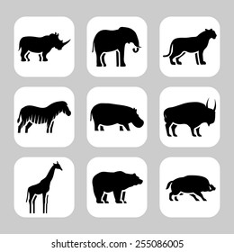 Wild animals icon