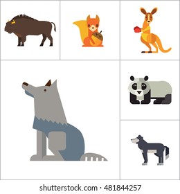 Wild Animals Icon Set