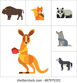Wild Animals Icon Set
