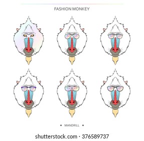 Wild animals. Isolated set of monkey muzzles in a linear style and different glasses.   