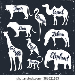 Wild animals isolated silhouettes with lettering: tiger, camel, flamingo, lion, zebra, eagle, giraffe, monkey, elephant. 